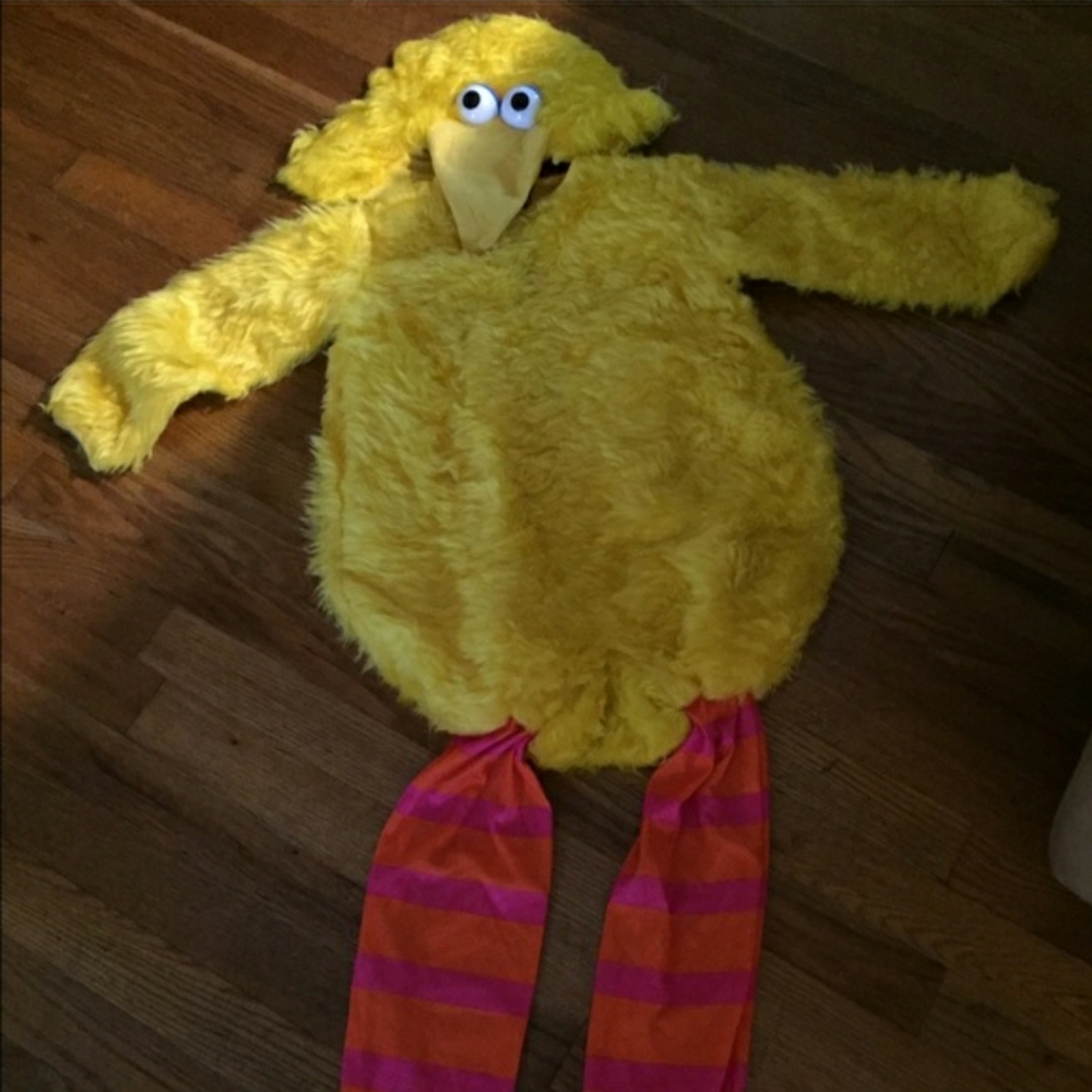 Big Bird Costume